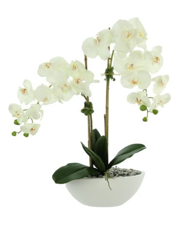 Opulent Orchid floral bouquet