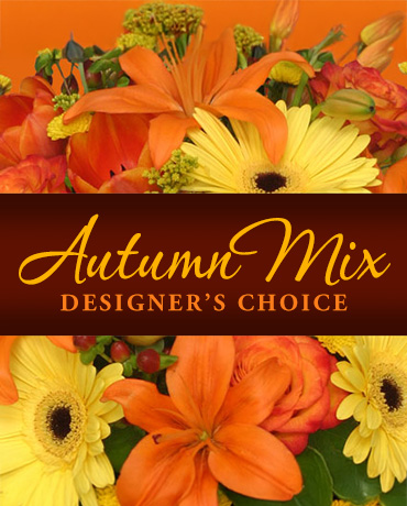 Autumn Mix Designer's Choice
