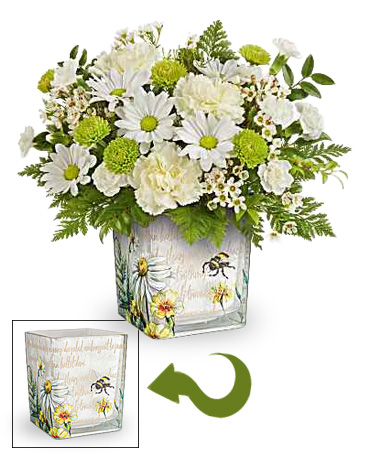 OPF_Seasonal-MD_Buzzy_2026